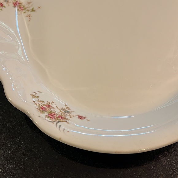 Vintage Semi-Porcelain Platter, Antique Platter, Vintage Platter - Picture 5 of 9
